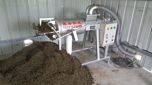  鸡粪干湿大香蕉黄色视频网站