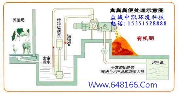 牛粪大香蕉黄色视频网站示意图